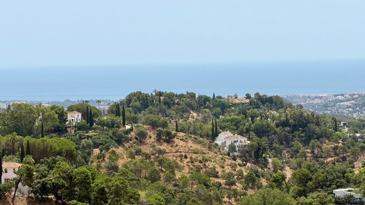 El Madroñal