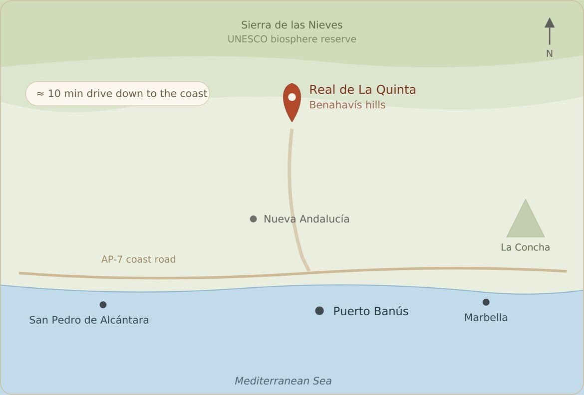 Real de la Quinta Lage