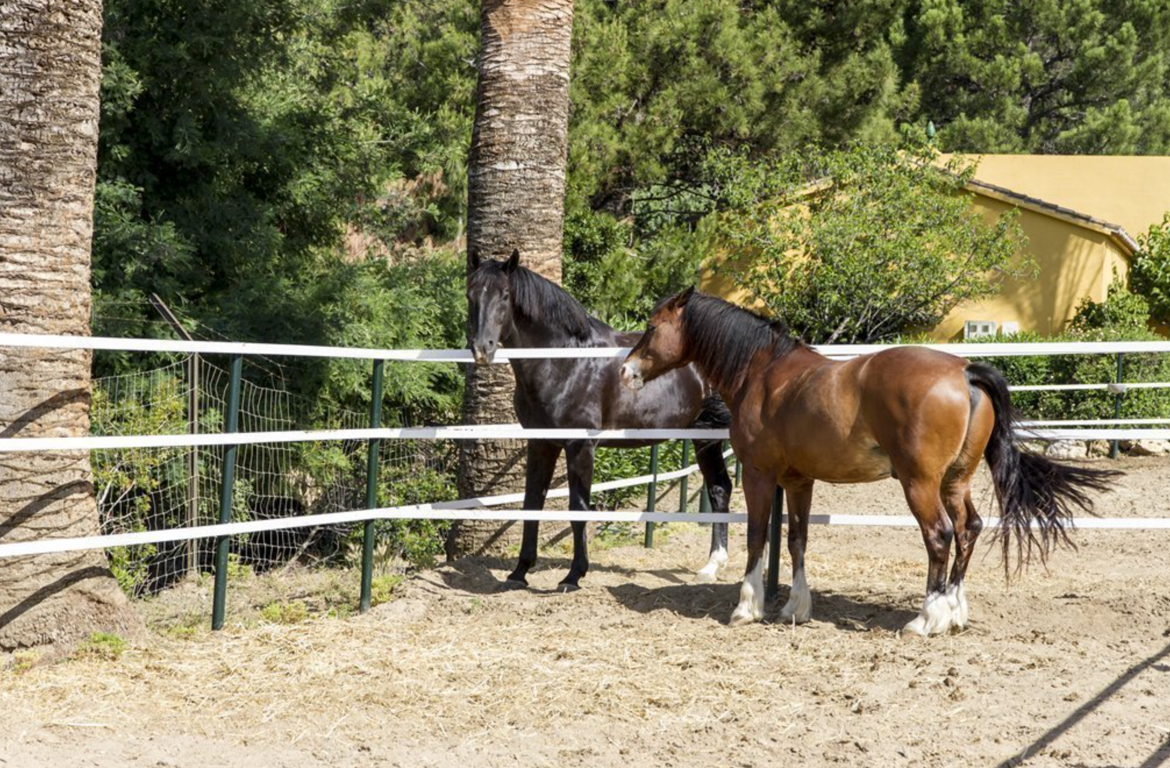 Equestrian Centre La Zagaleta