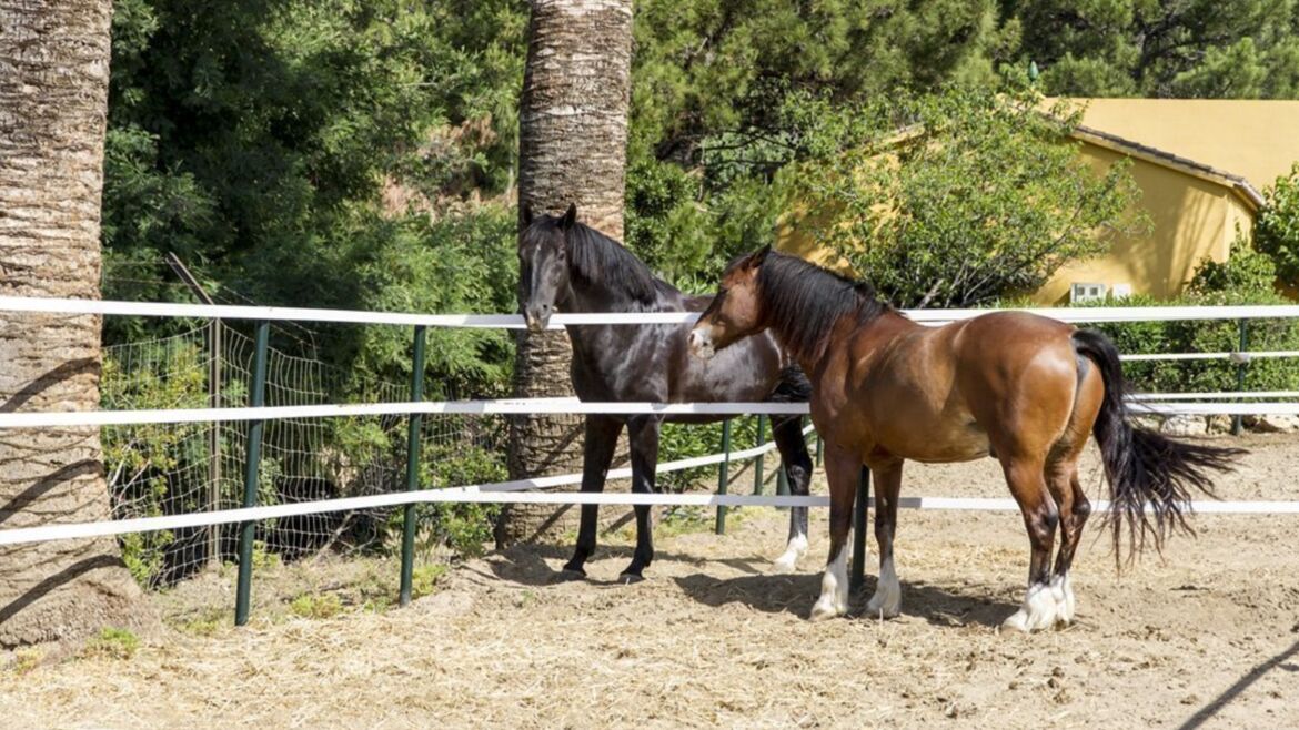 Equestrian Centre La Zagaleta