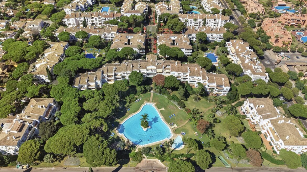 Piscine au milieu des pins à El Presidente