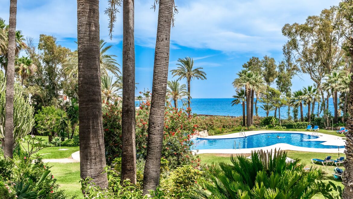 Piscine commune sous les palmiers avec vue sur la mer à El Presidente