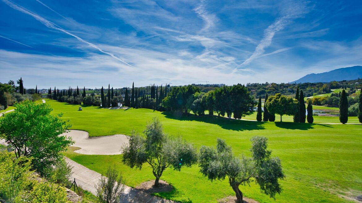 Golf Los Flamingos