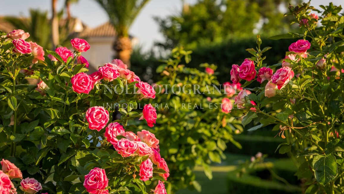 Villa for sale in Hacienda las Chapas, Marbella East