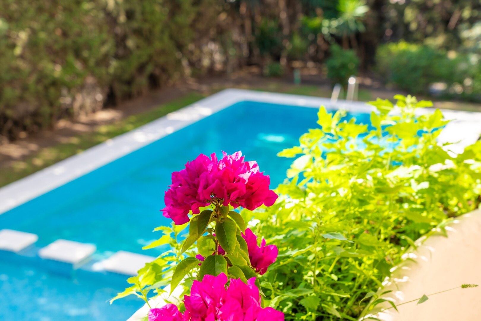 Remodeled 2 bedroom apartment in Nueva Andalucia is a superb first class investment opportunity!