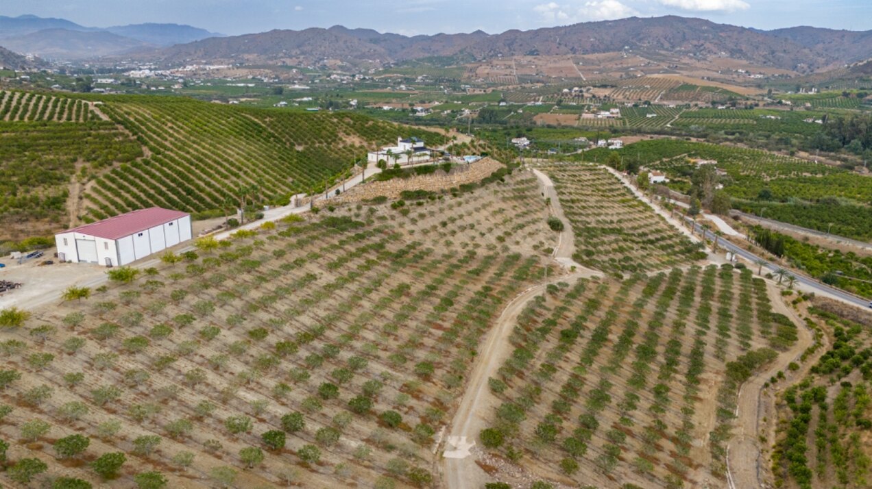 Incredible finca sits on vast private grounds in the midst of rolling hills of Pizarra, Malaga