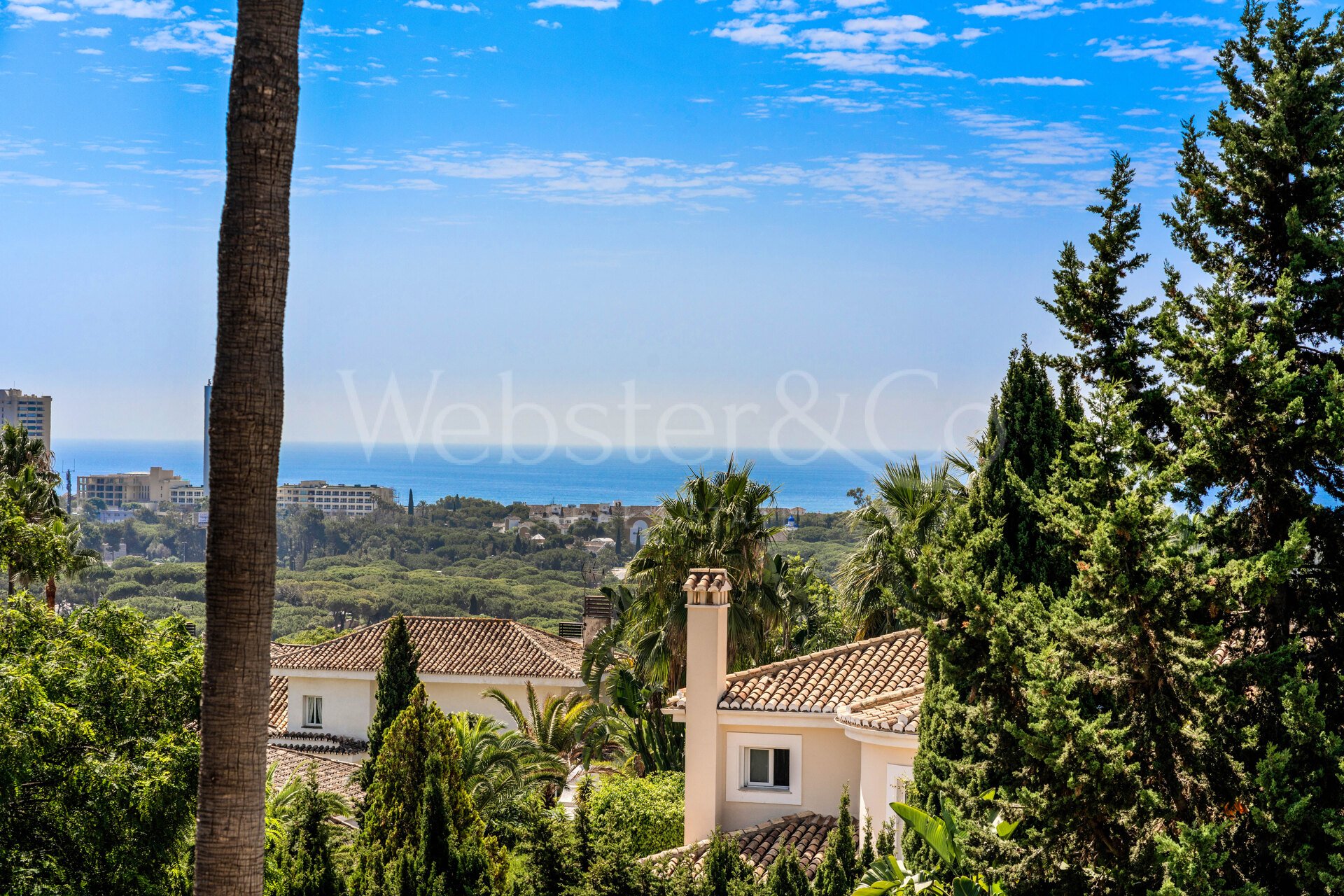 Villa Esperanza - Grand, Andalusian Home in Elviria