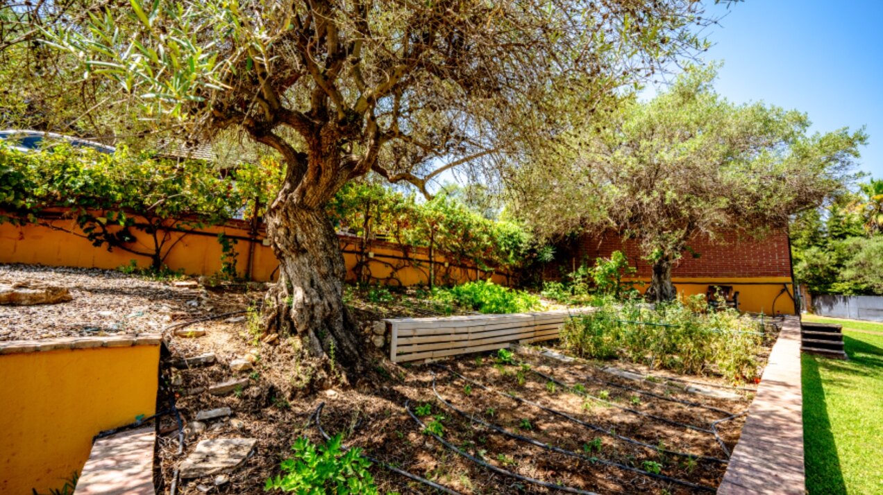 Stunning wooden country finca sits on the outskirts of Monda and its historic castle