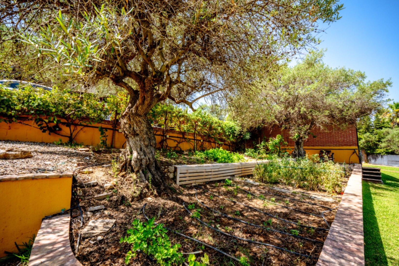 Stunning wooden country finca sits on the outskirts of Monda and its historic castle