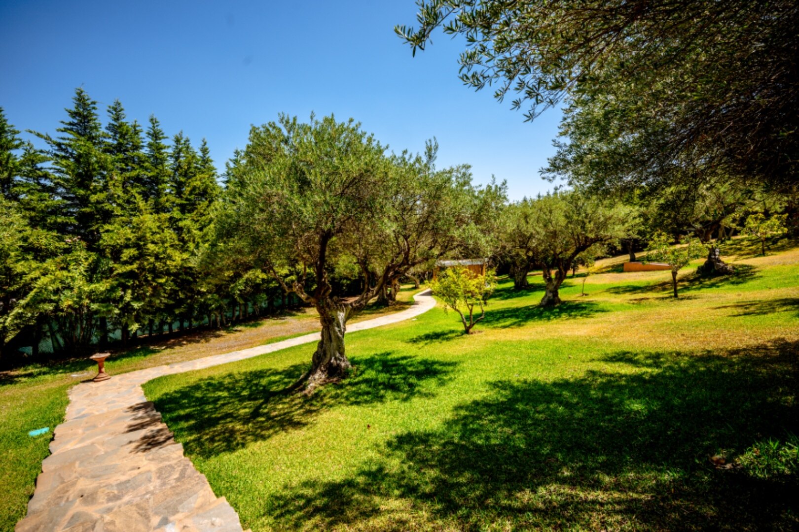 Stunning wooden country finca sits on the outskirts of Monda and its historic castle