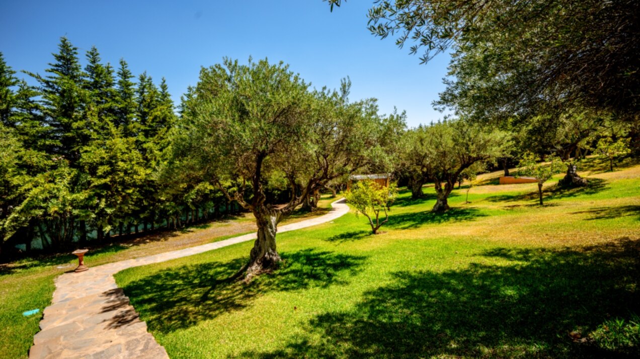 Stunning wooden country finca sits on the outskirts of Monda and its historic castle