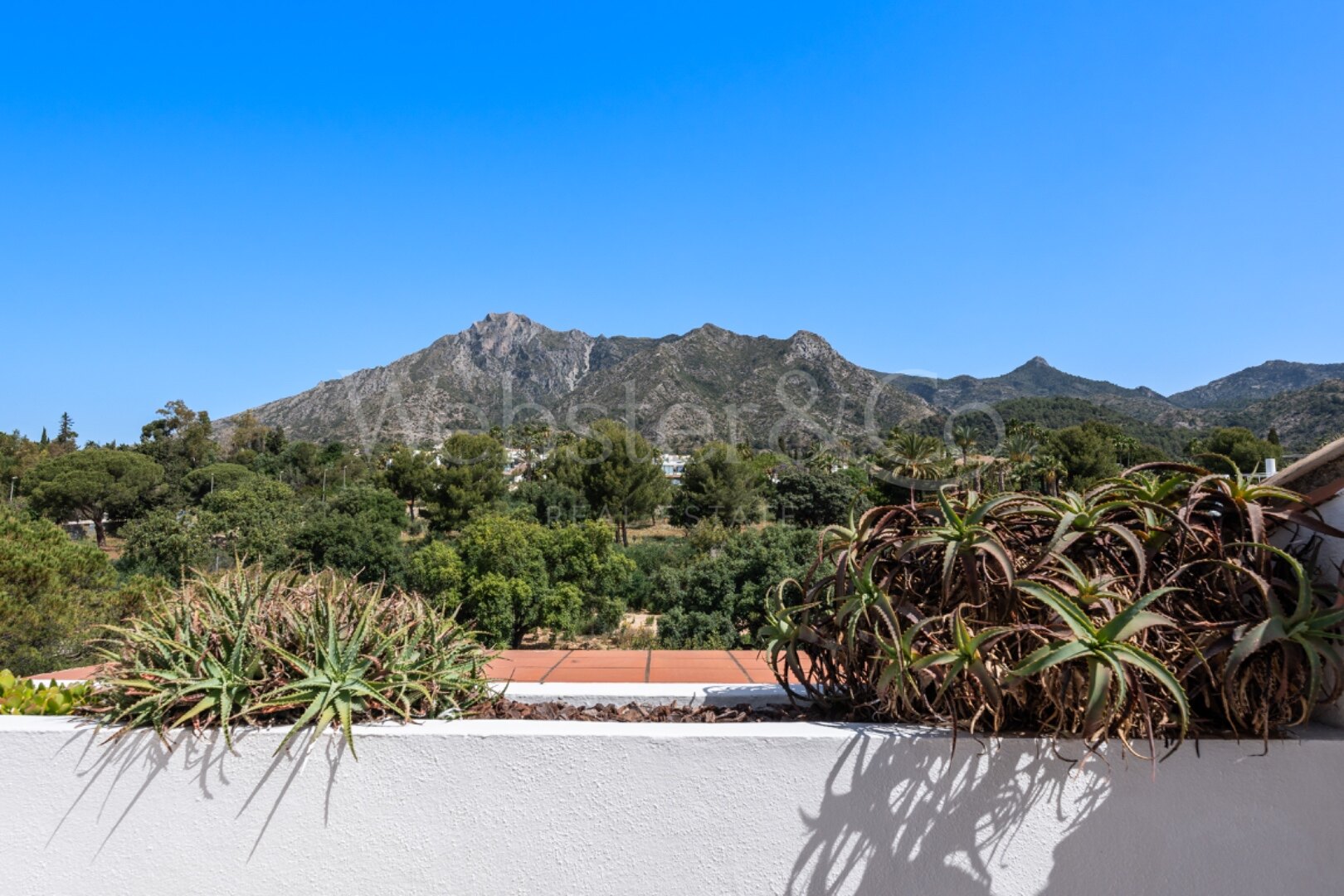 Penthouse Paradise - Duplex in Monte Paraíso