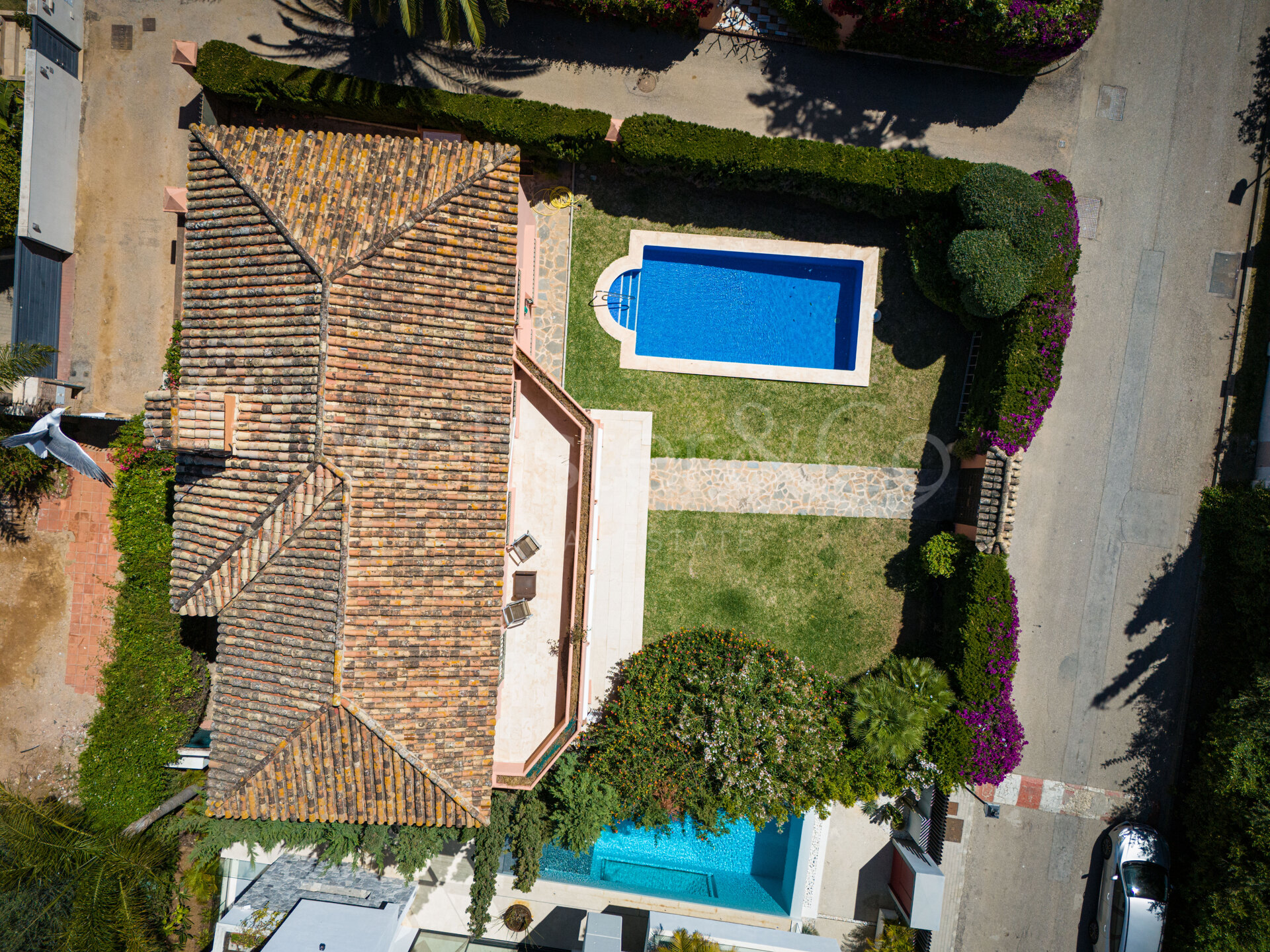 Villa Casablanca - Beachside Luxury on Golden Mile