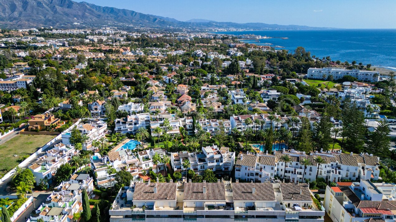 Apartment Petunias - Beachside Luxury in San Pedro