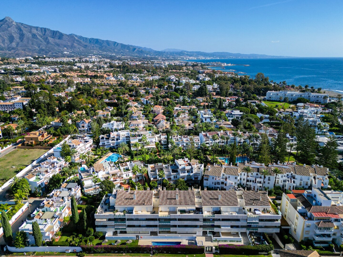 Apartment Petunias - Beachside Luxury in San Pedro