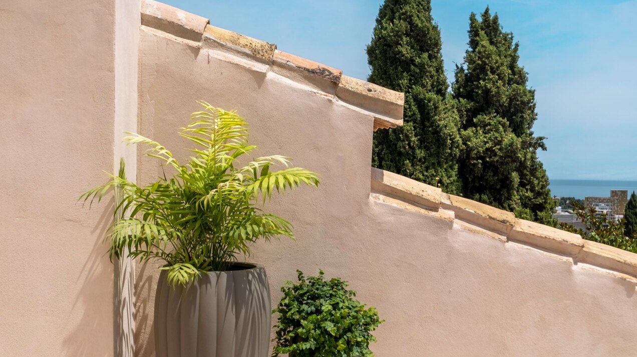 Beautifully renovated villa in Paraiso Alto