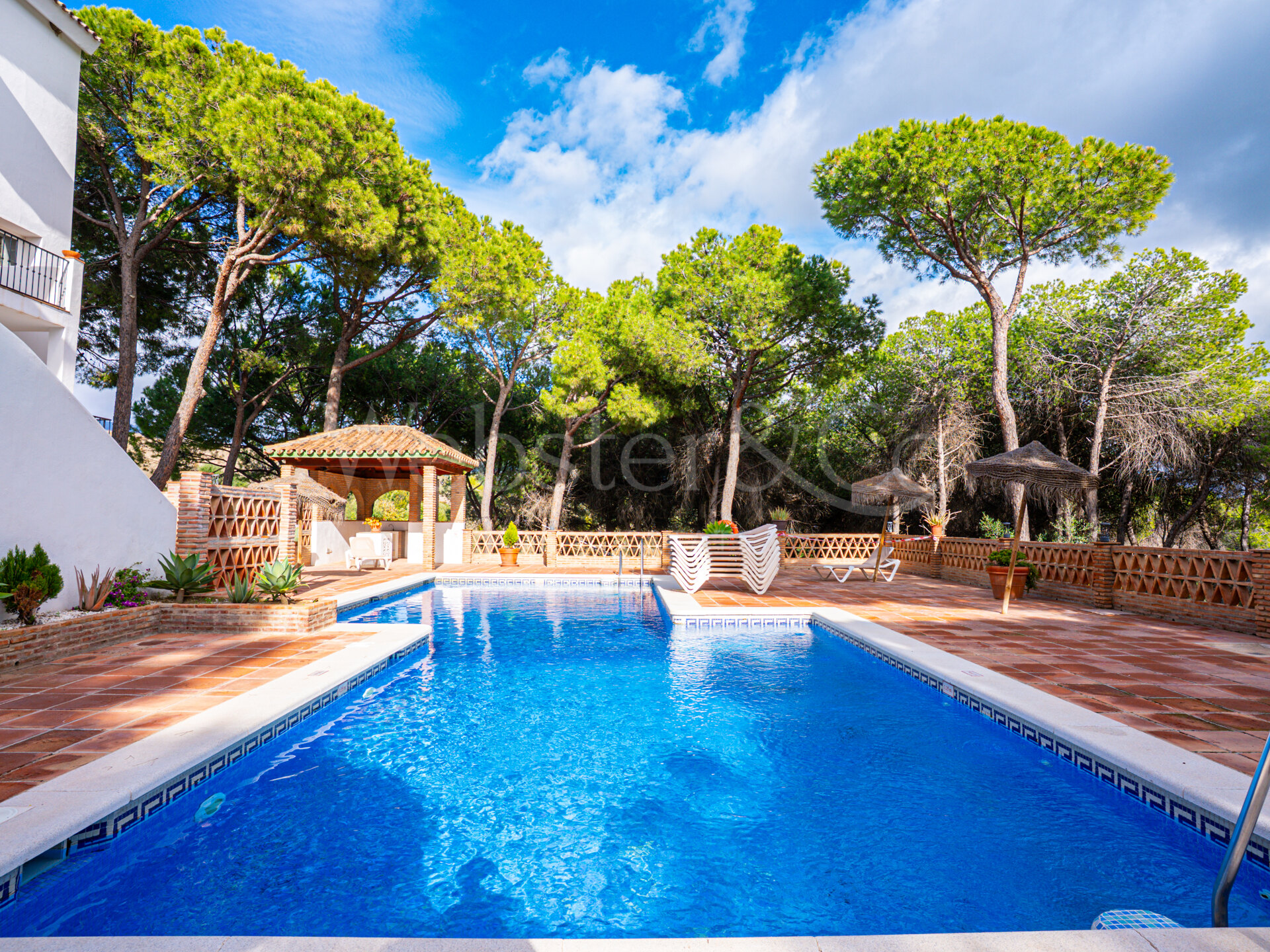 Apartment Pinehaven – Estilo en Nueva Andalucía