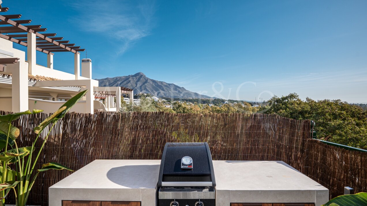 Apartment Gales - Renovated Flat in Nueva Andalucia