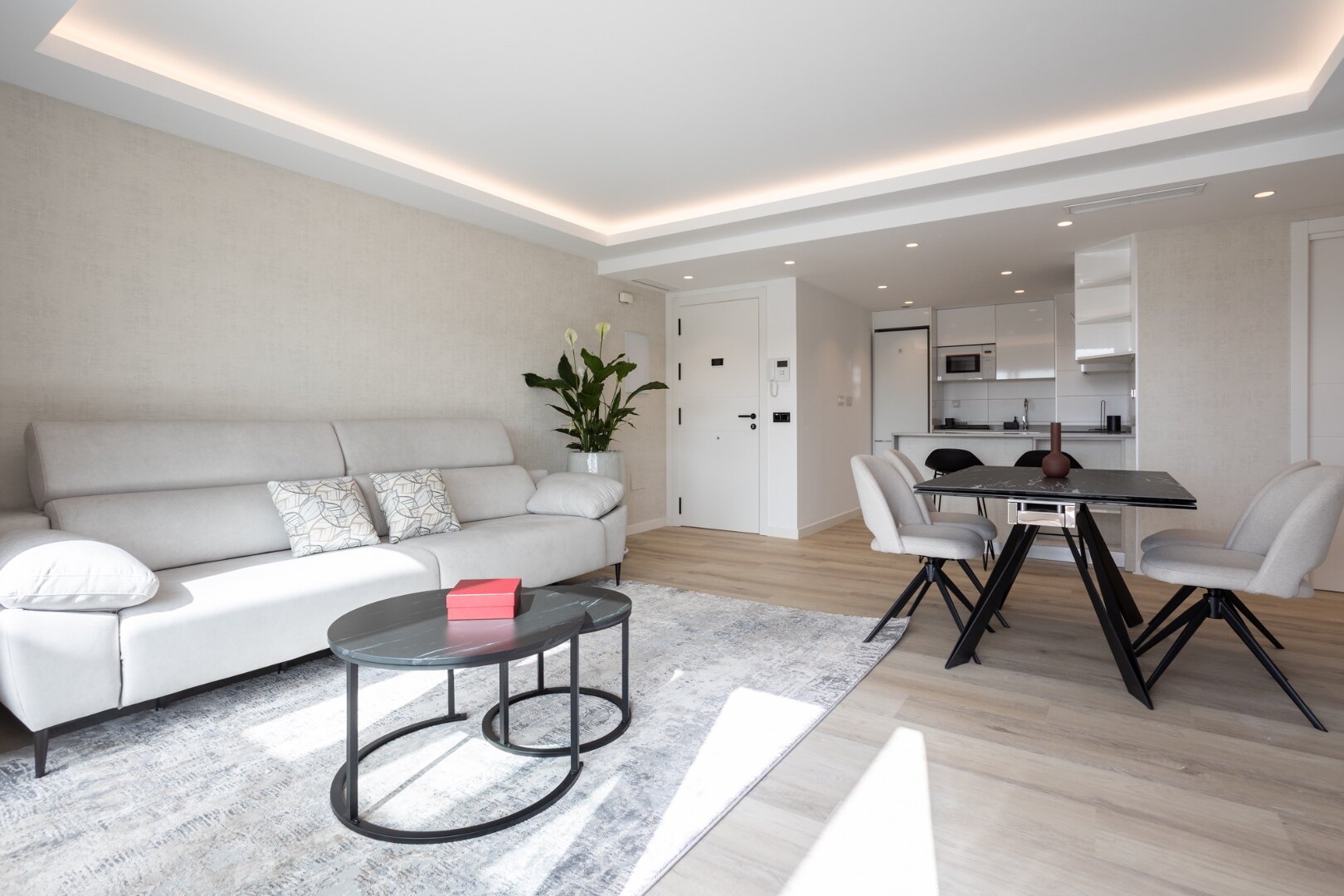 Elegant apartment embodies modern living