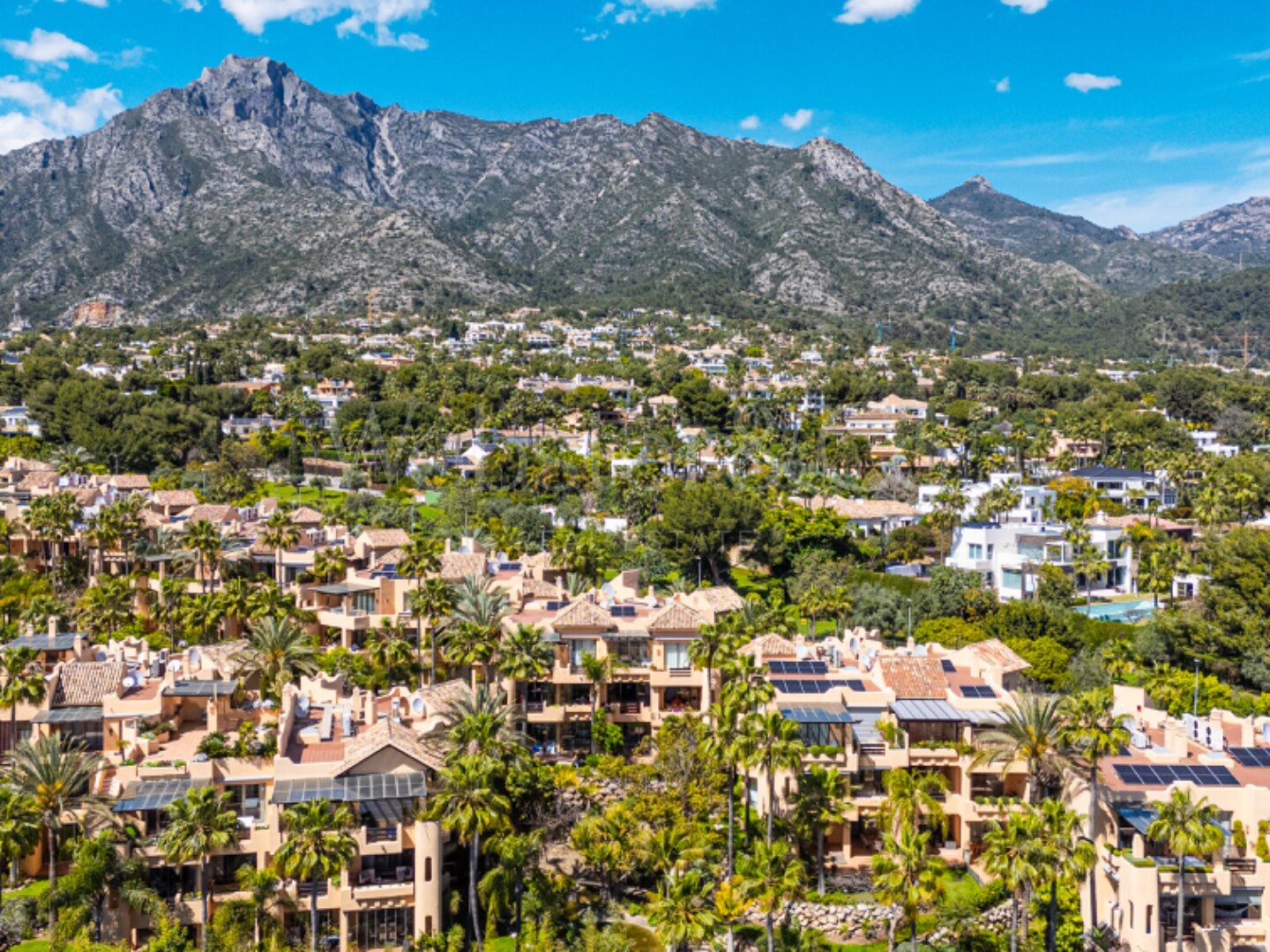 Apartment Mansion Club - Golden Mile Oasis