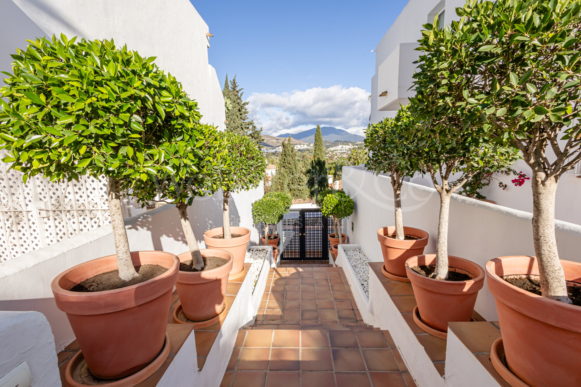 Apartment Jardines - Oasis in Nueva Andalucia