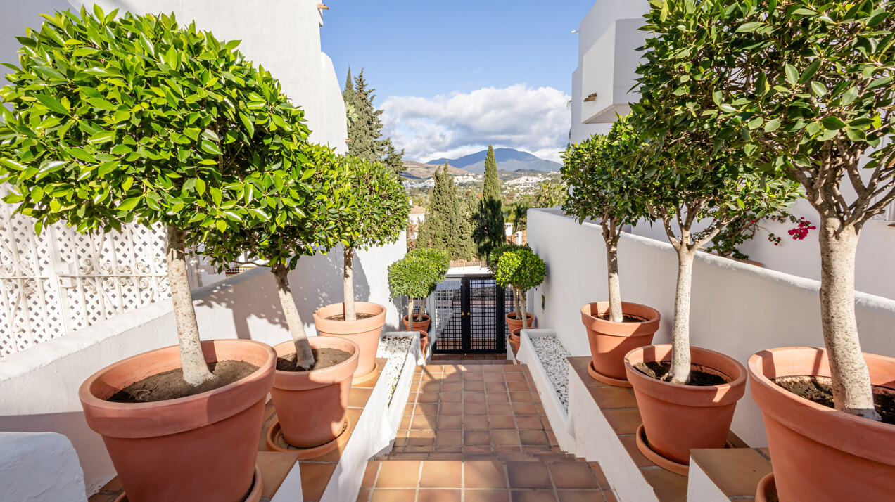 Sophisticated sanctuary in Nueva Andalucia