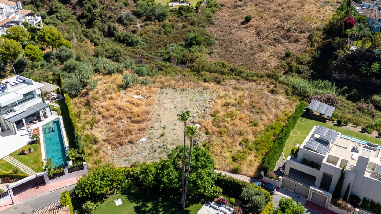 Joint Plots With Projects - Nueva Andalucía