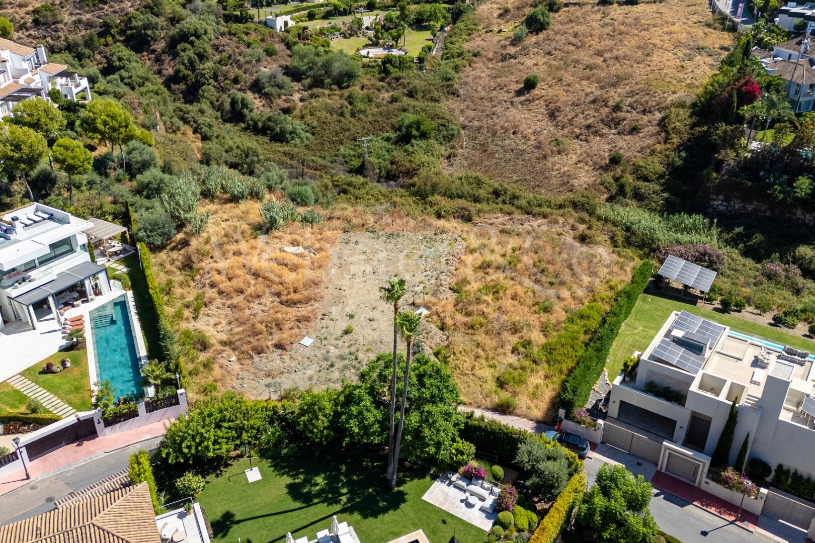 Joint Plots With Projects - Nueva Andalucía