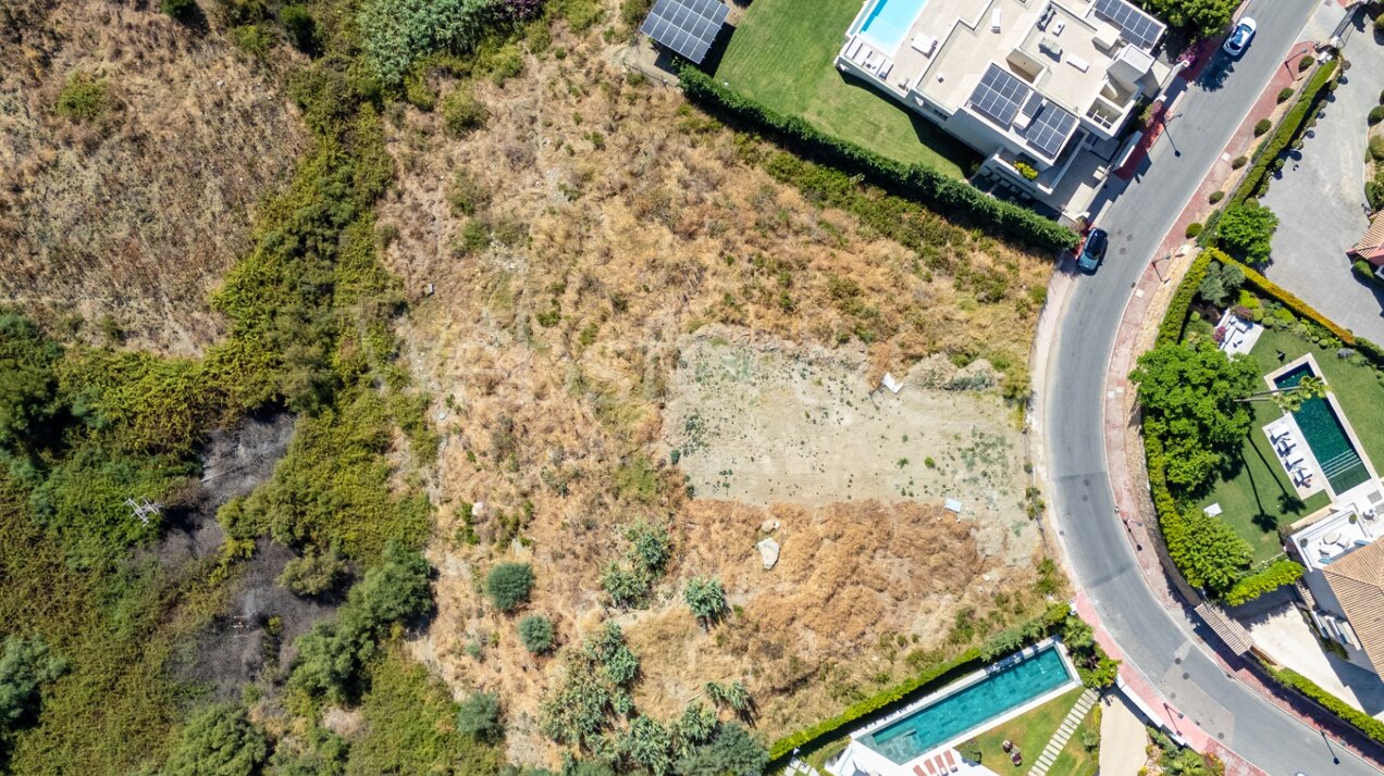 Joint Plots With Projects - Nueva Andalucía