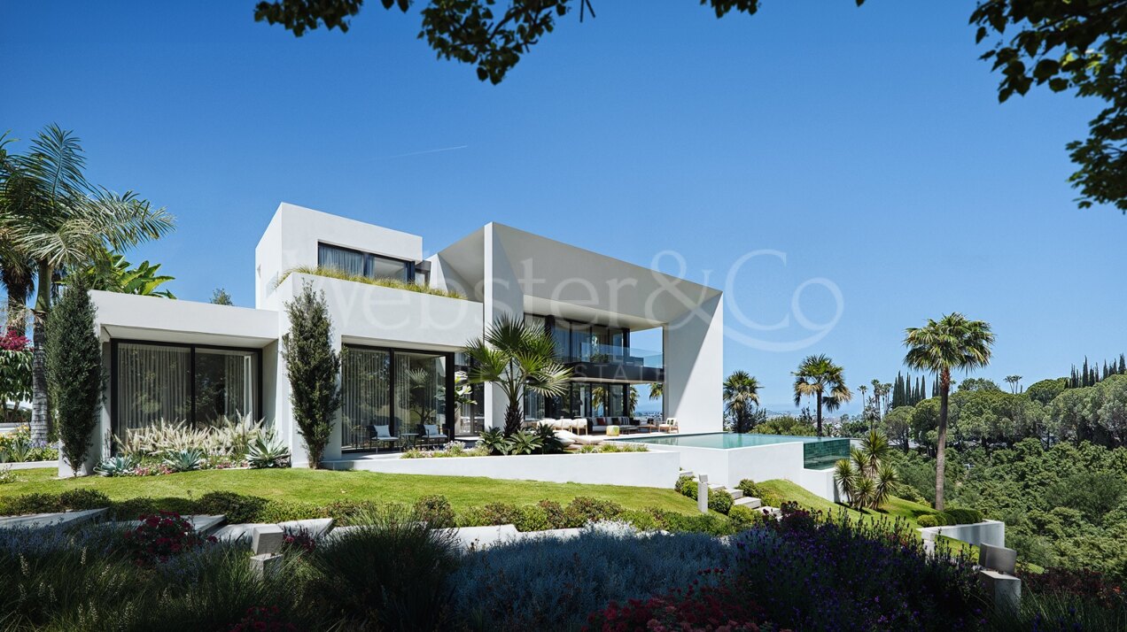 Joint Plots With Projects - Nueva Andalucía