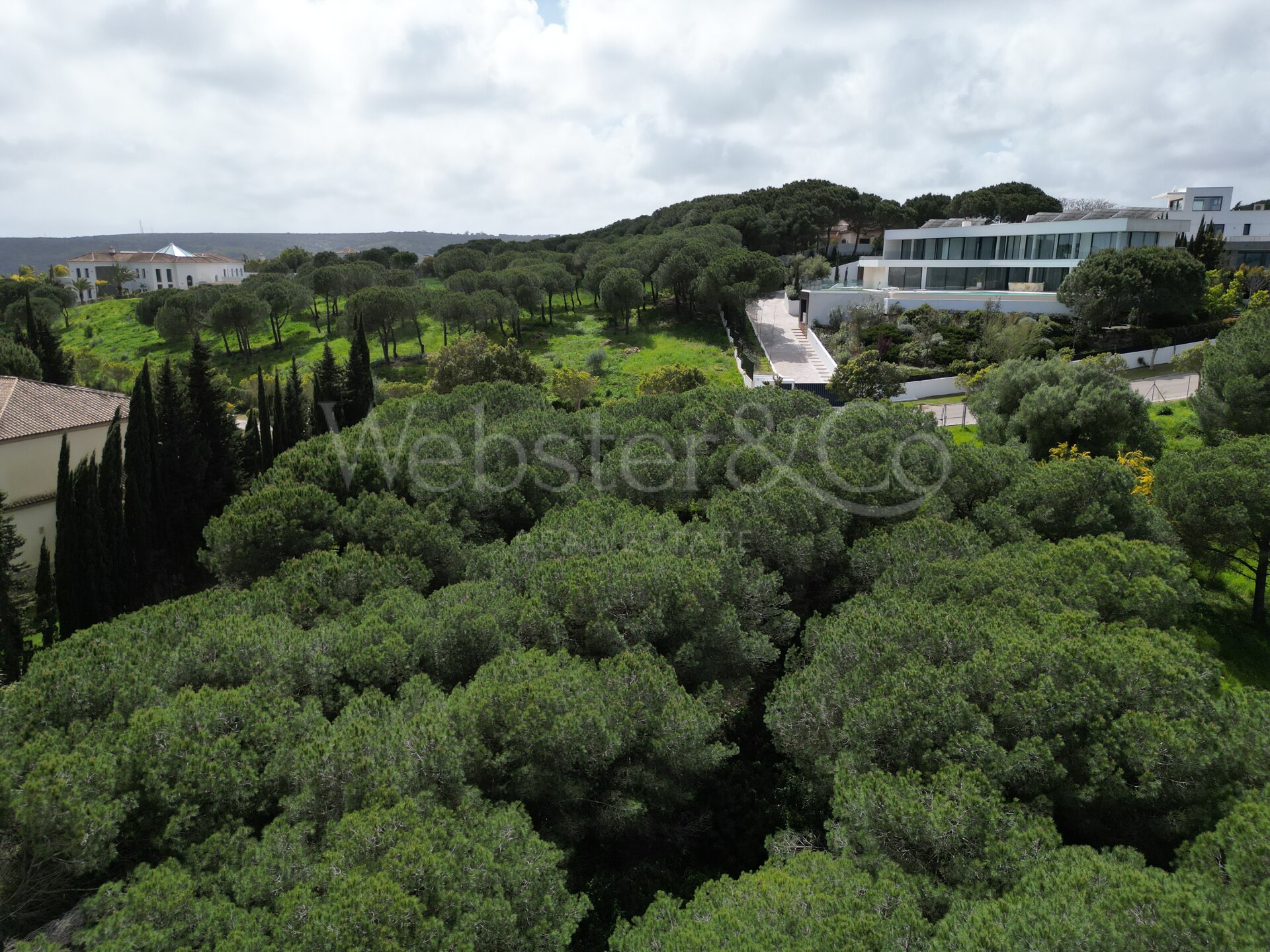 Parcela y Proyecto en San Roque, Sotogrande