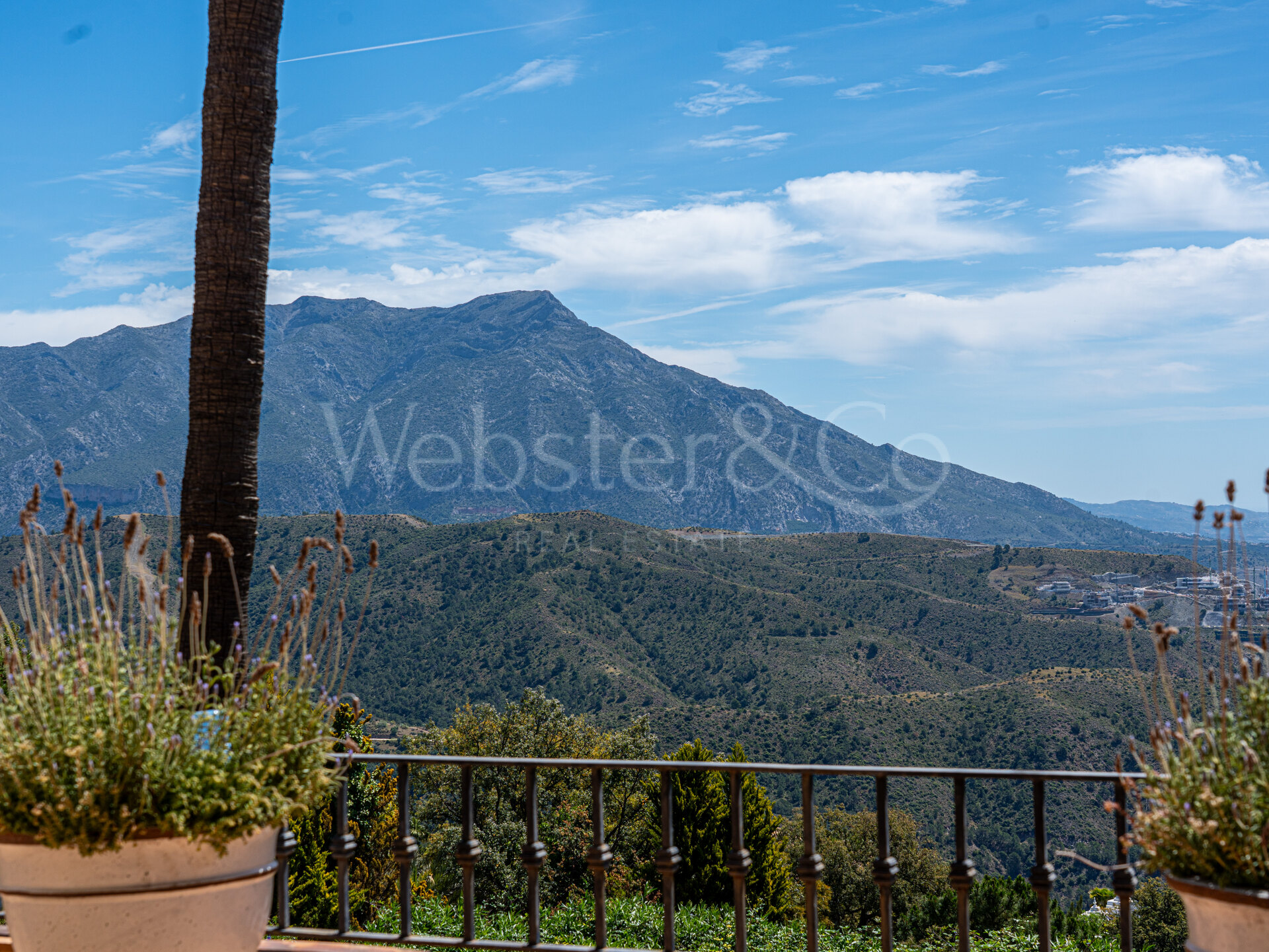 Villa Sylvan - Classical & Elegant Home, La Zagaleta