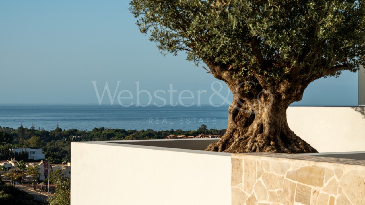 Villa Jade - Rare Opportunity in Marbella East