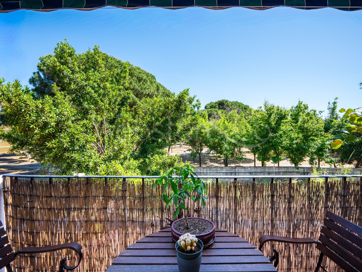 Apartment The Woods - Secluded Renovation Project, Elviria