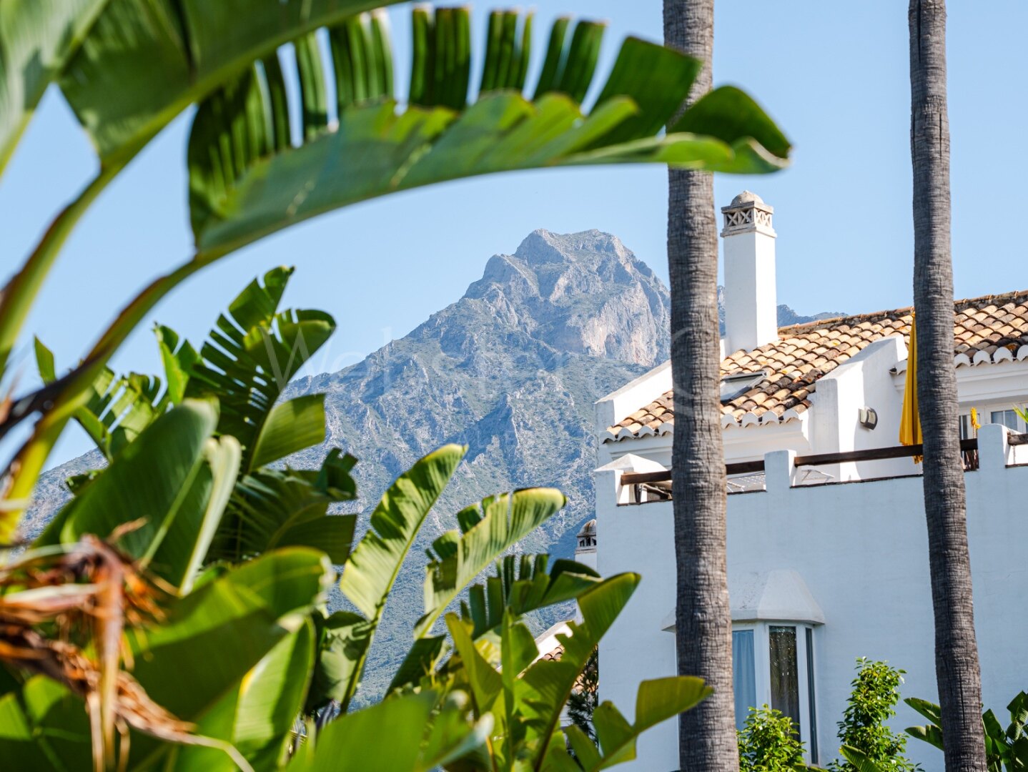 Townhouse Alba - Renovated Luxury on The Golden Mile