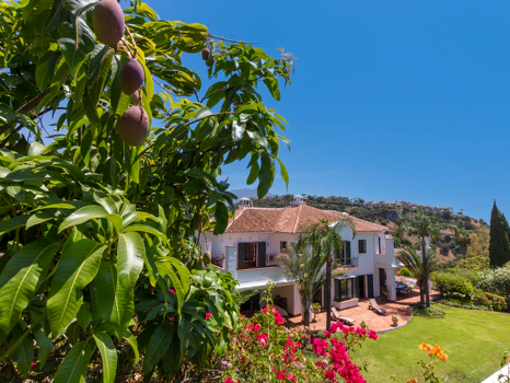 Exceptional César de Leyva villa on a rare, fully flat 3,000m² plot. Completely renovated, with sea views, total privacy, mature organic gardens, saltwater pool, 5 bedrooms, guest apartment, cinema room and extensive parking.