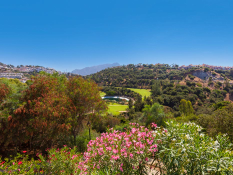Exceptional César de Leyva villa on a rare, fully flat 3,000m² plot. Completely renovated, with sea views, total privacy, mature organic gardens, saltwater pool, 5 bedrooms, guest apartment, cinema room and extensive parking.