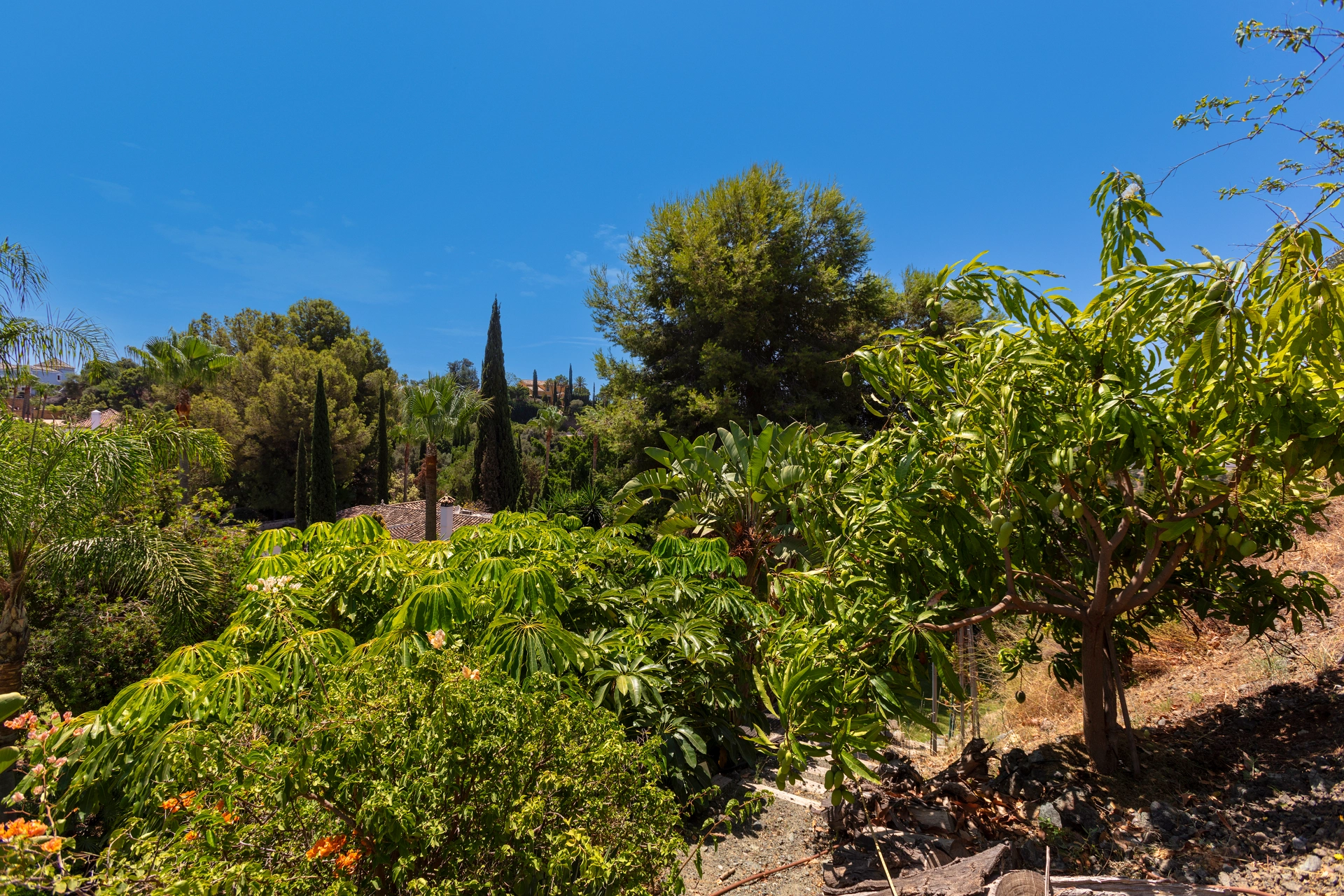 Villa for sale in Puerto del Almendro, Benahavis