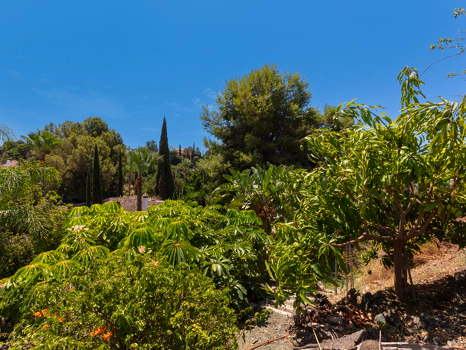Exceptional César de Leyva villa on a rare, fully flat 3,000m² plot. Completely renovated, with sea views, total privacy, mature organic gardens, saltwater pool, 5 bedrooms, guest apartment, cinema room and extensive parking.