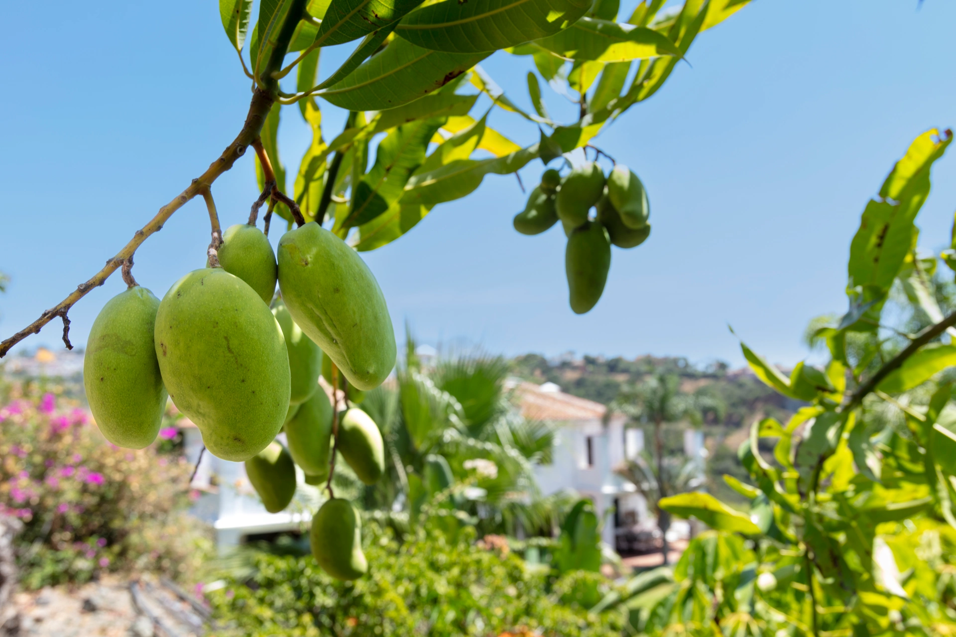 Villa for sale in Puerto del Almendro, Benahavis