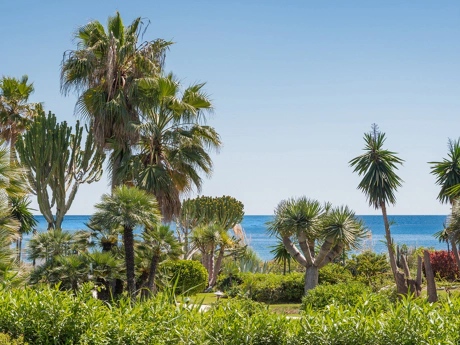 Beachside Ground Floor Apartment in Costalita, Estepona