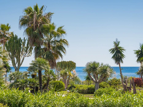 Beachside Ground Floor Apartment in Costalita, Estepona