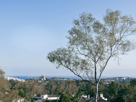 Ground Floor Apartment for sale in Marbella