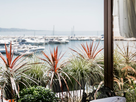Prestige Living and Investment Opportunity in the Heart of Puerto Banús