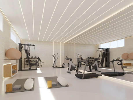 Descubre Elysea Suites: donde la elegancia se une a la exclusividad.