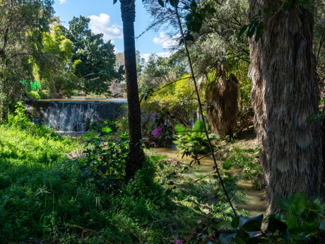 Villa de lujo estilo escandinavo-japandi con piscina, jacuzzi y total privacidad en Nueva Andalucía