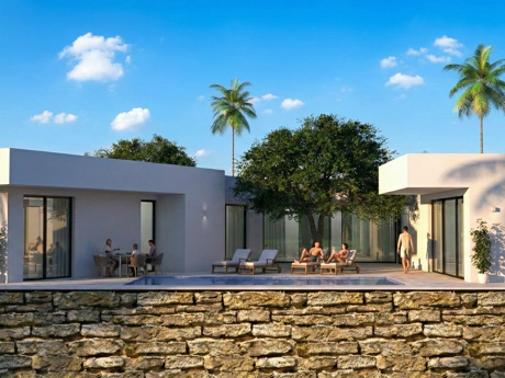 Modern Eco-Friendly Single-Storey Villa with Solar Panels – Smart, Energy-Efficient Living
