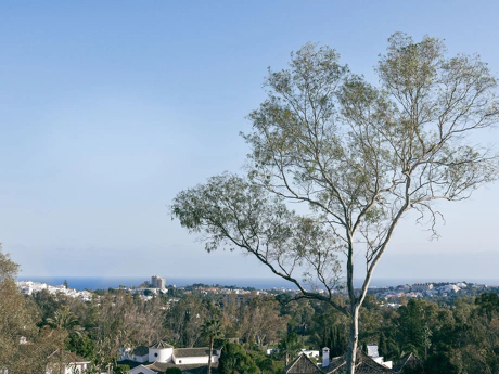 Ground Floor Apartment for sale in Marbella
