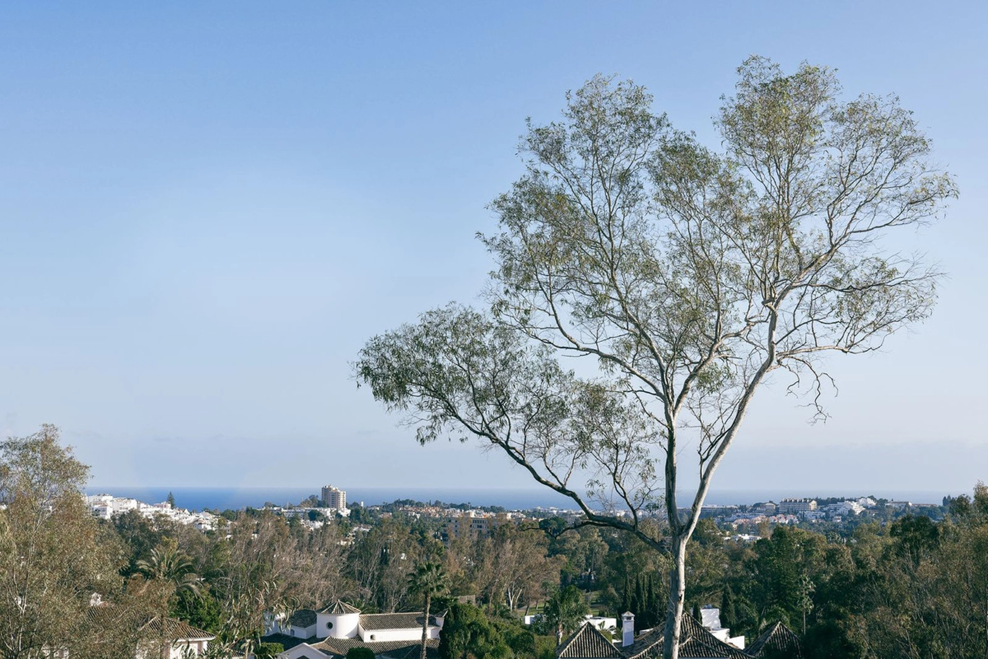 Ground Floor Apartment for sale in Marbella