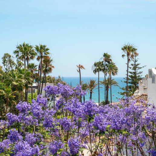 Penthouse mit 3 Schlafzimmern, Meerblick und direktem Zugang zum Strand